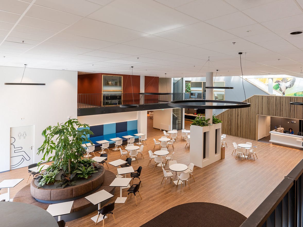 aeris projects landvanhorne 01_small.jpg?v=1738507046